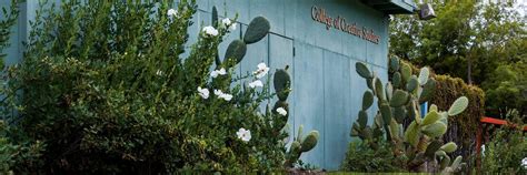 Ucsb College Of Creative Studies