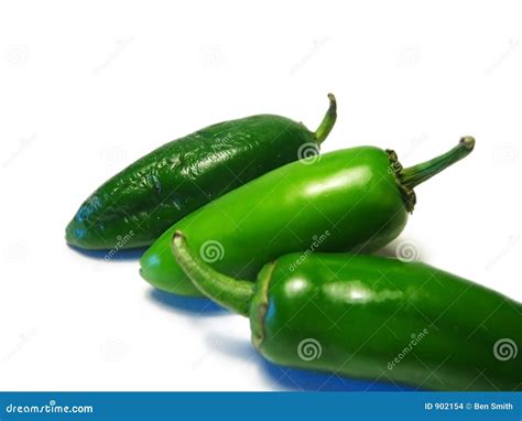 Chillies Stock Photo Image Of Curry Chillies Fire Fruit 902154