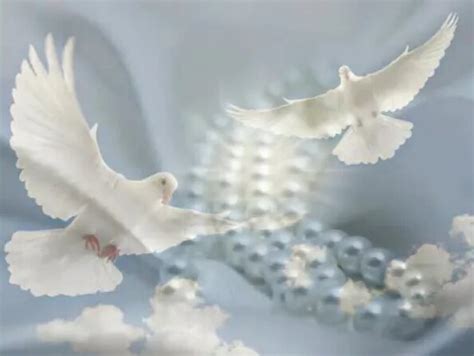 Дудук, саксофон и флейта - Нежность - Смотреть онлайн в поиске Яндекса ...