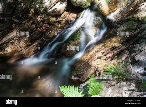 creek flowing rocks stock photo alamy