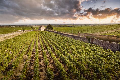 Domaine Clos de la Chapelle Grand Cru et Premier Cru de la Côte de Beaune