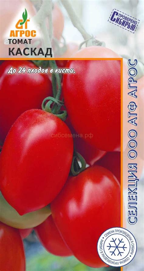 ТОМАТЫ — Семена для Сибири