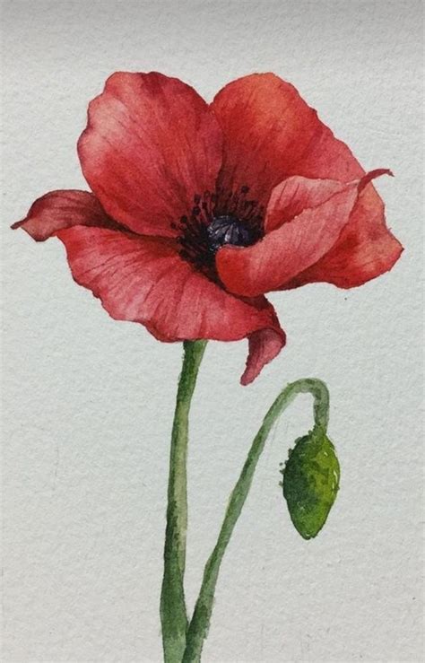 Pin By Mary Vidal On Cosas Que Me Encantan In 2024 Watercolor Flower