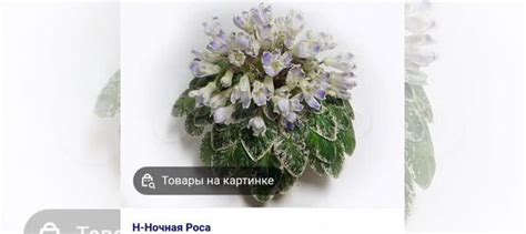 Н-ночная роса купить в Санкт-Петербурге | Товары для дома и дачи | Авито