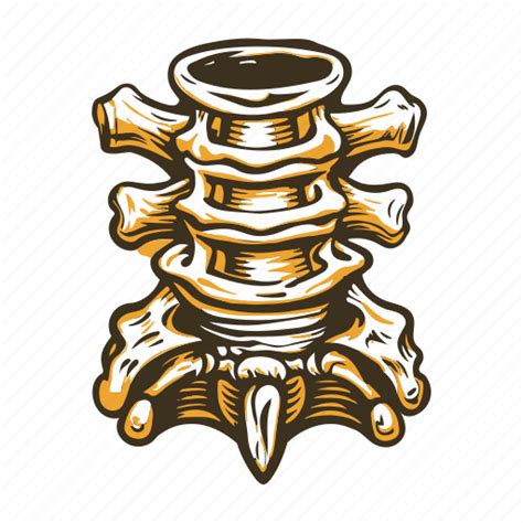 Lumbar Vertebrae Spine Bone Physiology Anatomy Icon Download On