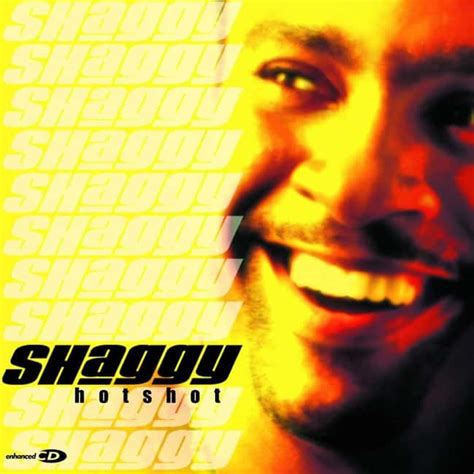 The Best Shaggy Albums Ranked By Fans