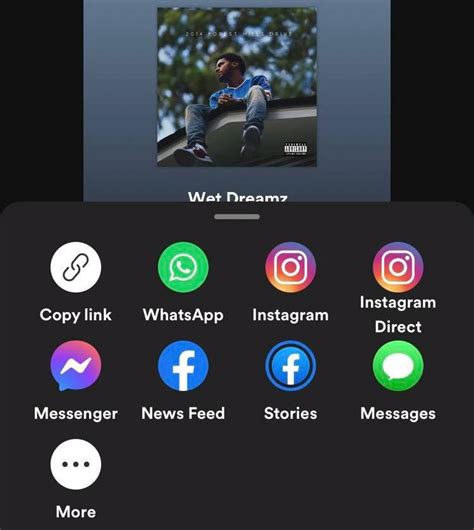How To Share Liked Songs On Spotify - Easy Guide - Musician Wave