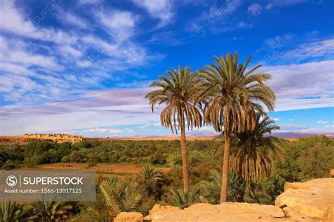 Meski, Source Bleue of Meski Oasis, Old Kasbah, Errachidia Province ...