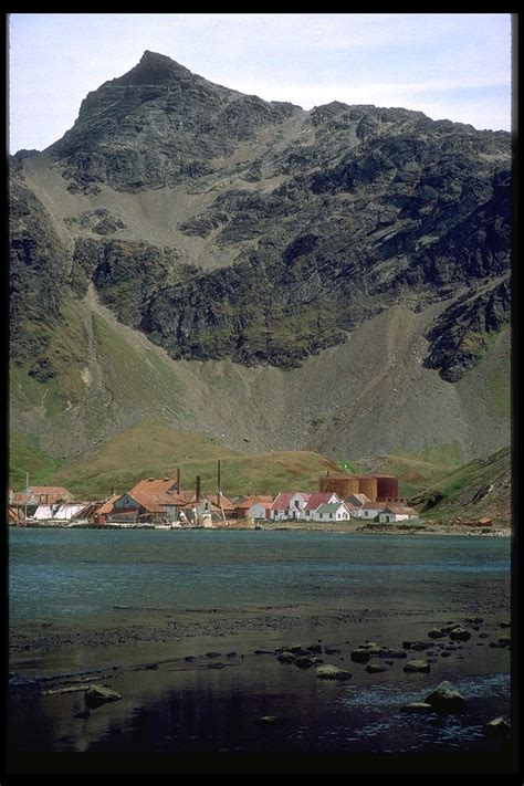 Grytviken and King Edward Point, South Georgia Island