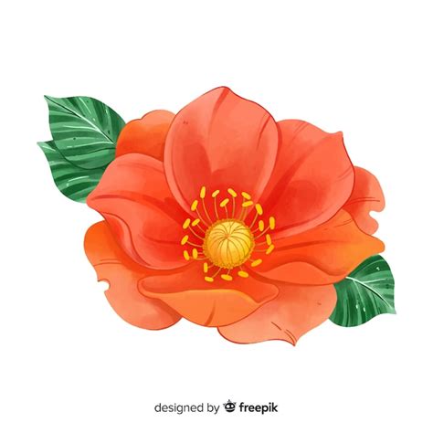 Flor De Coral Aquarela Com Folhas Vetor Grátis