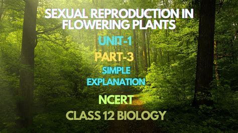 Pollen Pistil Interaction Outbreeding Sexual Reproduction In