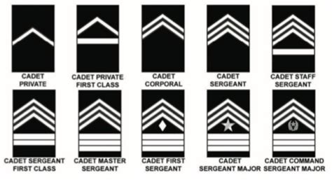 rotc  ranks questions flashcards quizlet
