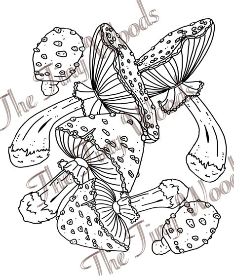 Amanita Muscaria Dibujo para colorear de Fly agaric para Etsy España