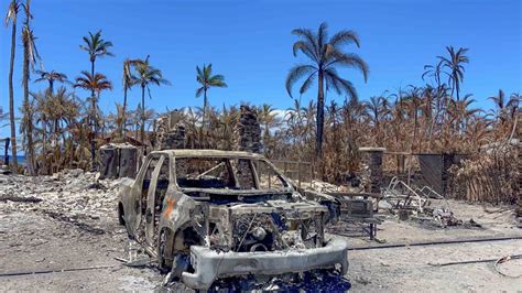 Best Ways For Big Island Residents To Help Maui Fire Recovery Efforts