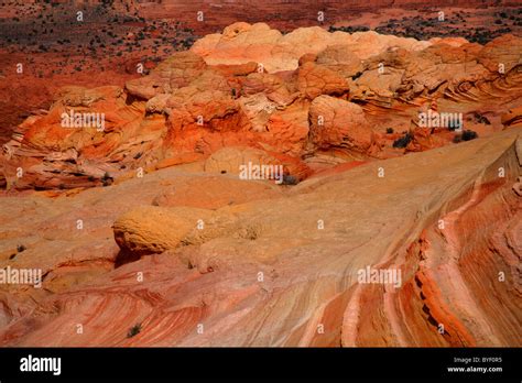 North Coyote Buttes Vermilion Cliffs Wilderness Area In Northern