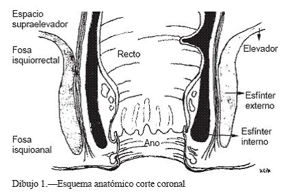 Patología Anal Benigna página 2