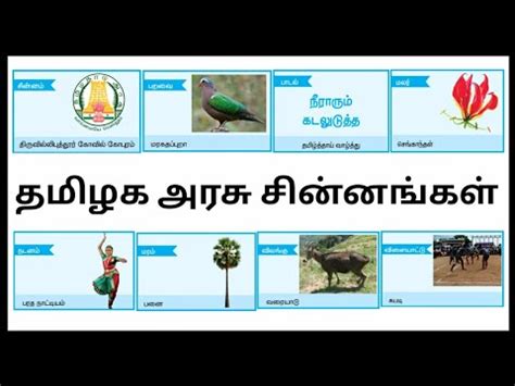 std  term   kutties tamil beats youtube