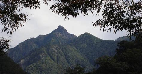 台中6旬翁獨攀八仙山失聯一夜 警消上山搜救中！他竟已下山吃早餐 社會 Ctwant