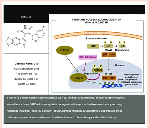 Mechanism of Action of GSK-3ß and 9-ING-41 (GSK-3ß inhibitor). 9-ING-41 ...