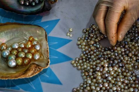 Цены во Вьетнаме: сколько стоят продукты, жемчуг, алкоголь | Экскурсии ...