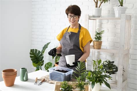 Cuidados Plantas De Casa De Primavera Repotting Plantas De Casa