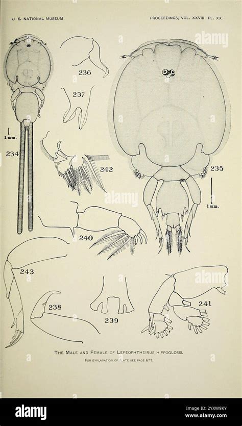 includes labeled diagrams showing  res stock photography  images