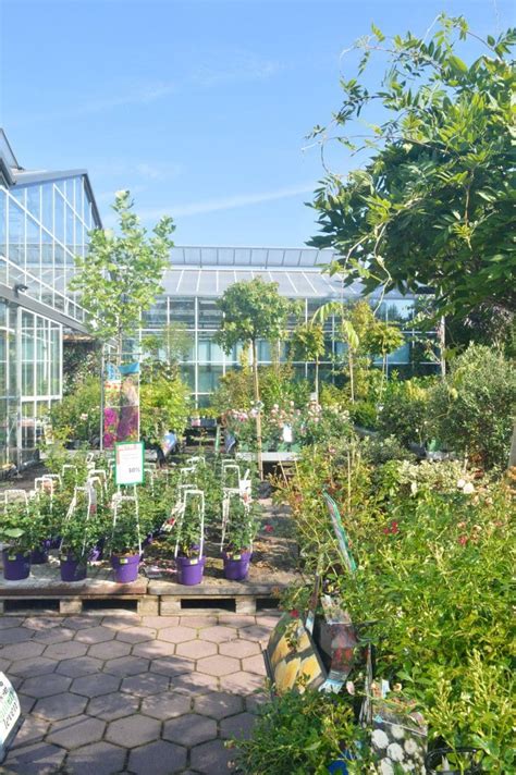 Buitenplanten | Tuincentrum Intratuin Breda