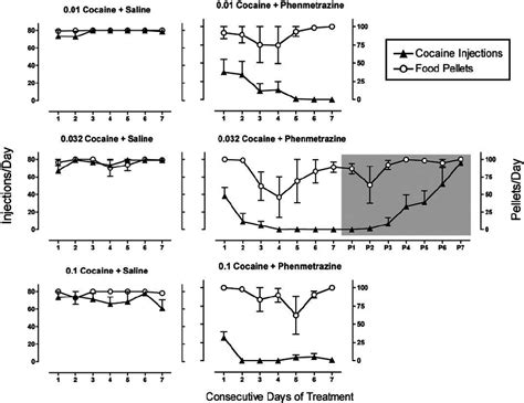 Time course of phenmetrazine effects on responding maintained by food... | Download Scientific ...