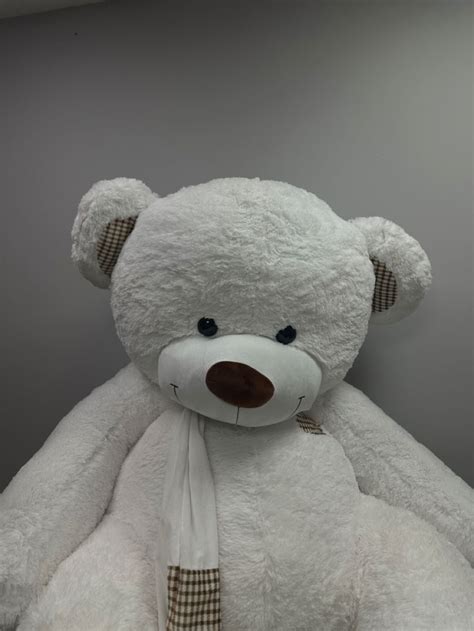 плюшевый медведь | Плюшевый, Медведь, Плюшевый мишка