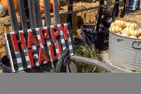 The Hidden Gem of Flagstaff: Viola's Pumpkin Patch - Renaissance Alana
