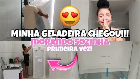 Vlog Minha Geladeira Chegou Morando Sozinha Pela Primeira Vez