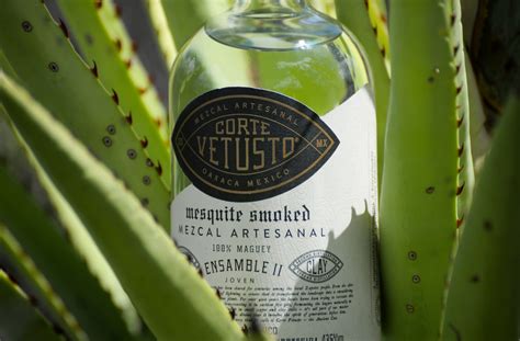 Why Tequila Is Good For You Best Luxury Tequilas Luxuriate Life Magazine