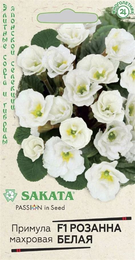 Купить примула махровая розанна белая f1, 4 шт семян по цене 137 руб. в ...