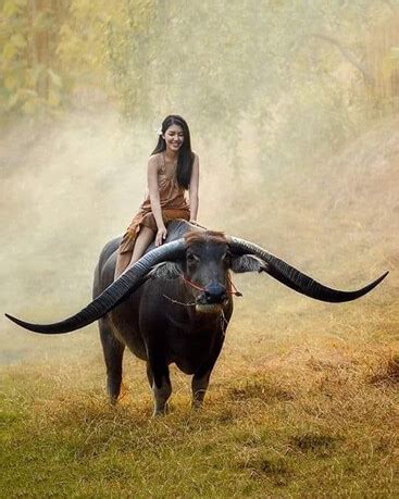 Ultra Sexy Asian Women Asian Babe Porn Pic