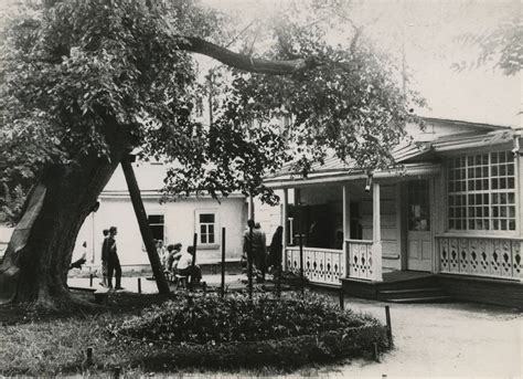 Фото "Ясная Поляна", 1980-е, Тульская обл., с. Ясная Поляна - История ...