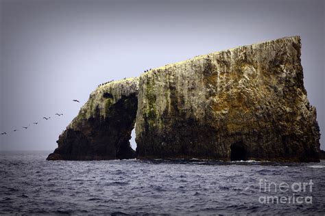 Anacapa Island Arch Rock Photograph by David Millenheft - Fine Art America