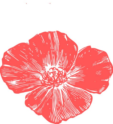 Coral Rose Clipart 20 Free Cliparts Download Images On Clipground 2025