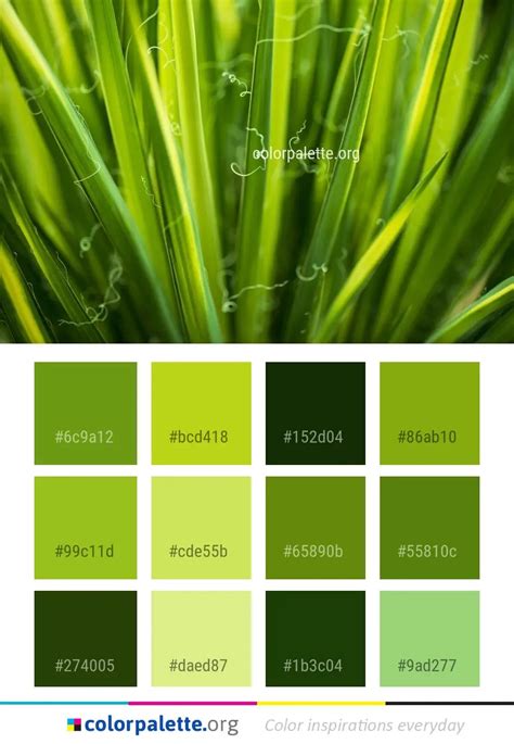 Green Grass Family Color Palette | colorpalette.org