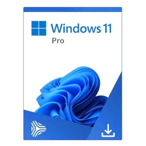 Microsoft Windows 11 Professional Antivirussales