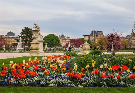 パリフランス4月の素晴らしい春のチュイルリー庭園とルーブル宮殿の眺め プレミアム写真