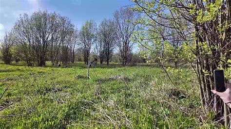 Vika Borja Anal Search XNXX