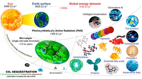 THE ALGAE INDUSTRY: FROM RISING STAR TO GLOBAL POWERHOUSE