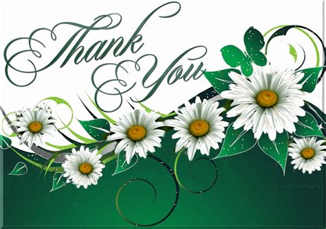 Thank You For Everything