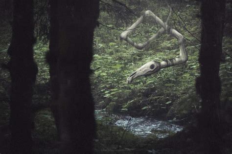 Who Is The Long Horse Urban Legends And Cryptids Amino
