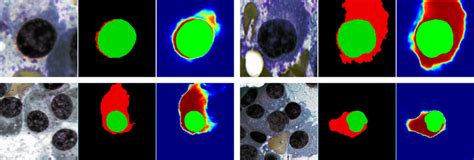 Segmentation Results Of The Proposed Method For Both Nucleus And