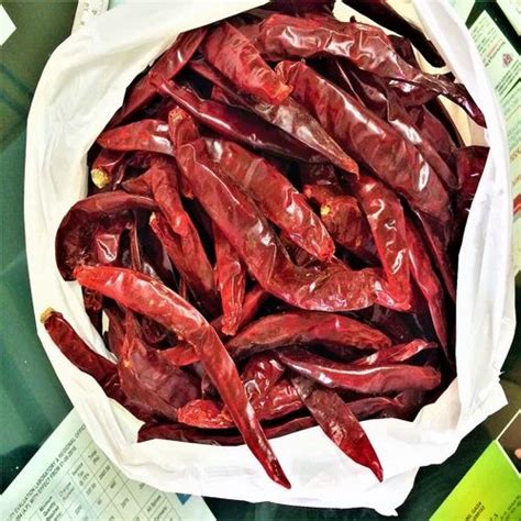 Wonder Hot Stemless Red Chilli Karnataka At Rs 245 Kg In Chennai ID 26895680455