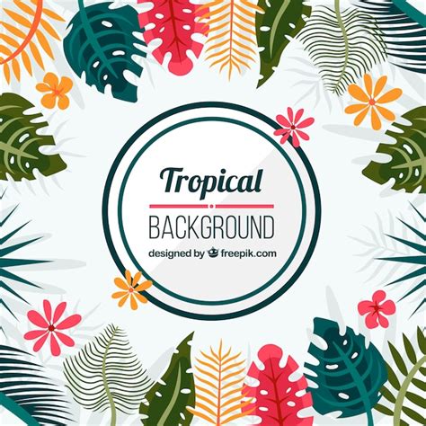 Fundo Tropical Com Folhas Diferentes Vetor Grátis