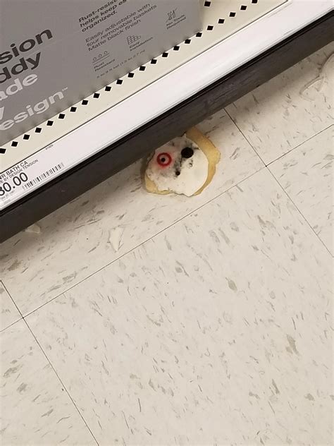 Bitch Me Too The Fuck R Target