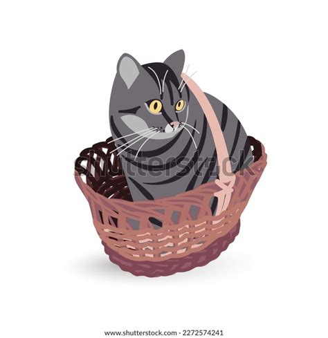 Cute Cat Basket Vector Stock Vector (Royalty Free) 2272574241 ...