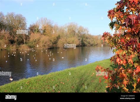 The River Thames at Runnymede England UK Stock Photo - Alamy